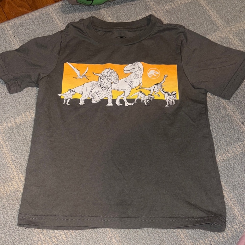 Gray Dinosaur Graphic Kids T-Shirt sz5